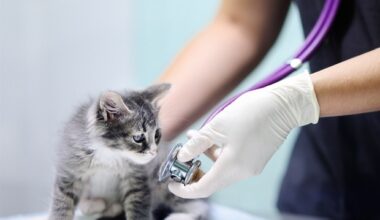 One Health platform strengthens zoonotic disease surveillance across multiple domains