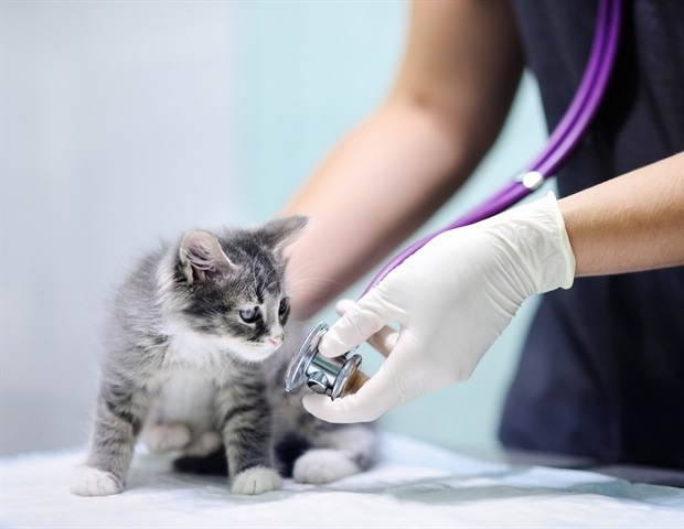 One Health platform strengthens zoonotic disease surveillance across multiple domains