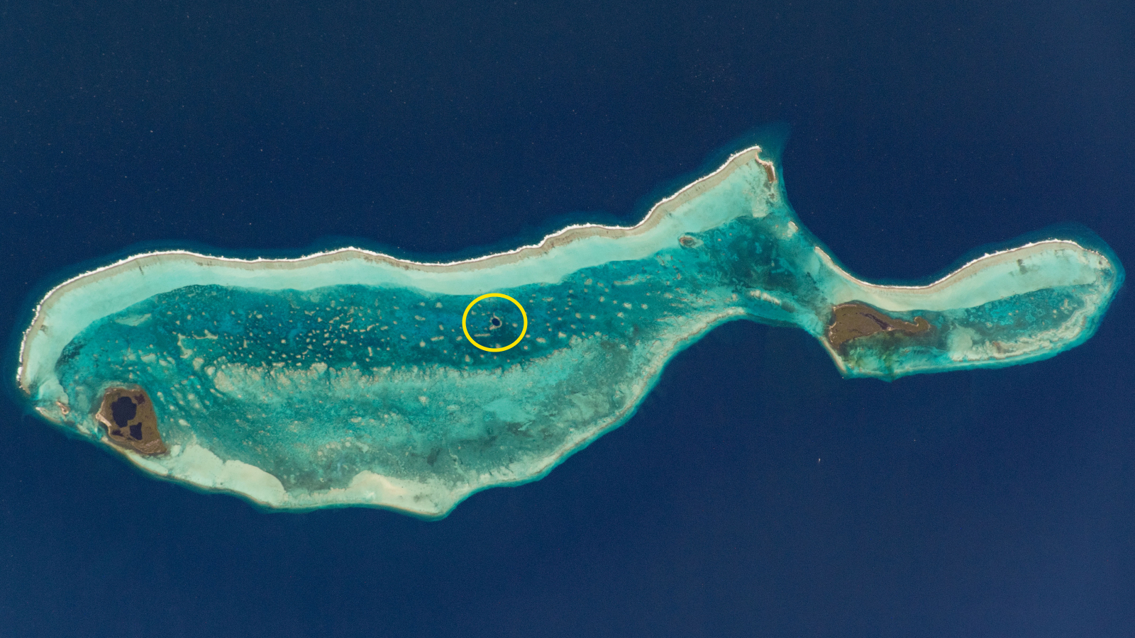 A satellite photo of a whale shaped island with a yellow circle highlighting to location of the Great Blue Hole