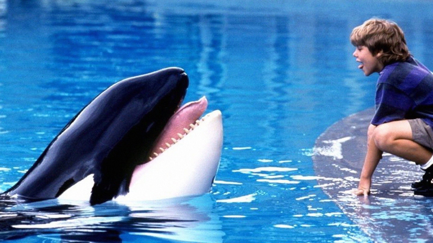Free Willy Set For A Comeback With Russo Brothers Reboot