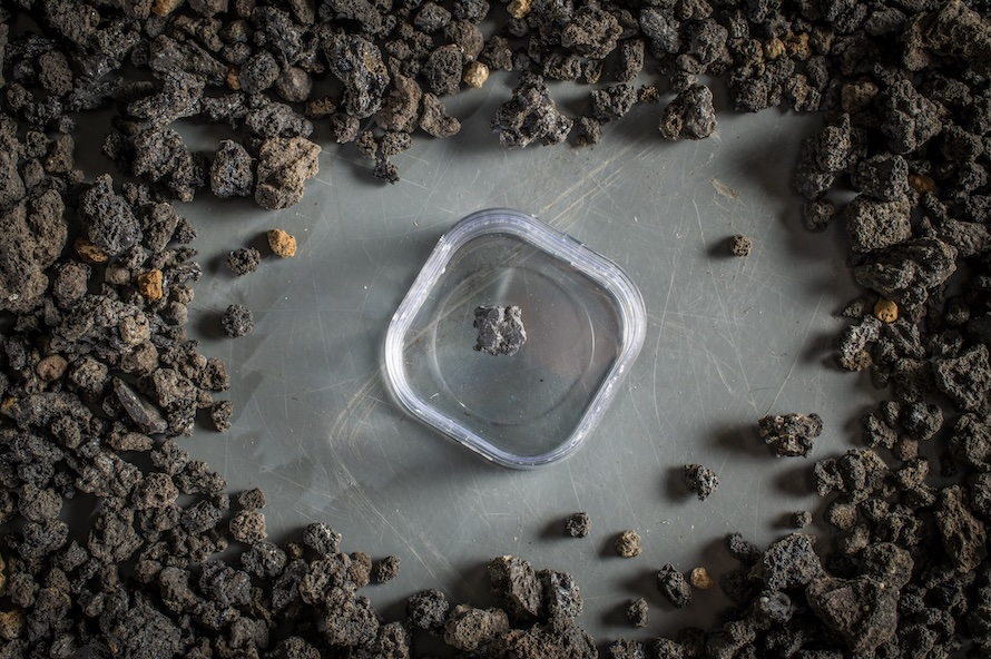 A light gray rock in a clear container sits on a metal surface surrounded by other small rocks that are dark black-brown.