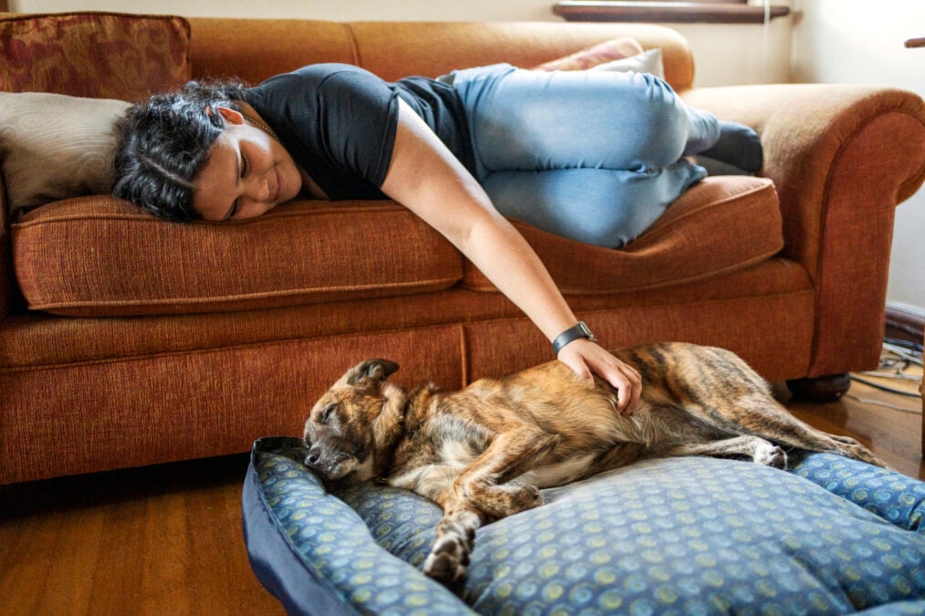 Drug-Resistant Superbugs May Be Jumping Between Pets And Humans, Scientists Warn