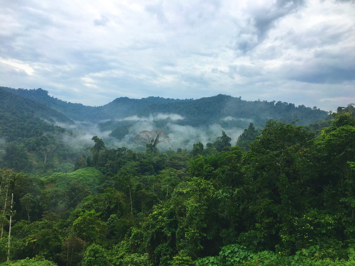 Landscape of Meratus Mountain at Tropical Borneo Rainforest, Indonesia.