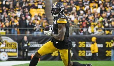 DK Metcalf of the Pittsburgh Steelers