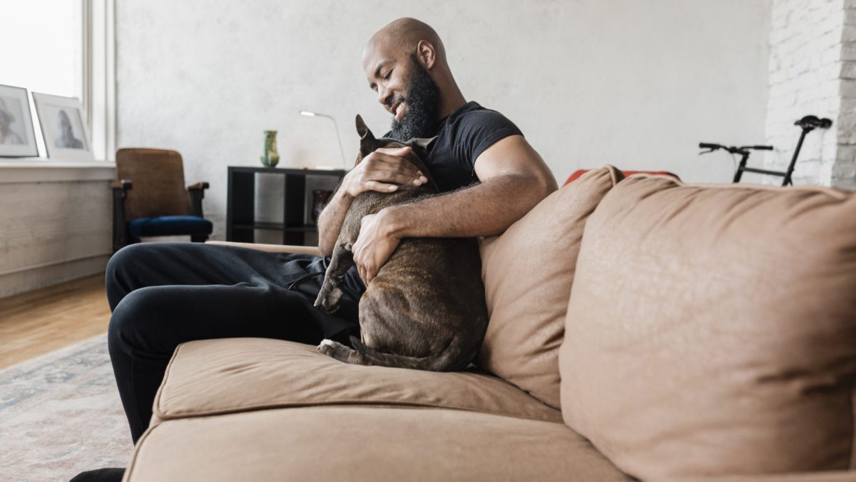 Relaxing with dog on sofa - stock photo