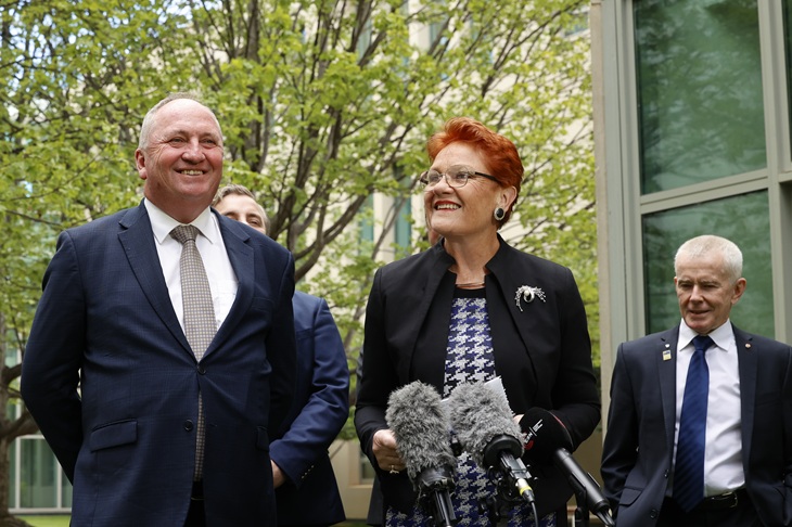 How will One Nation ‘shrink’ Australia’s economy?