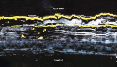 Stereogum home
