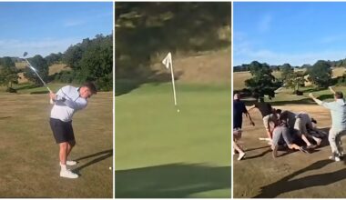 Fans celebrate a hole in one