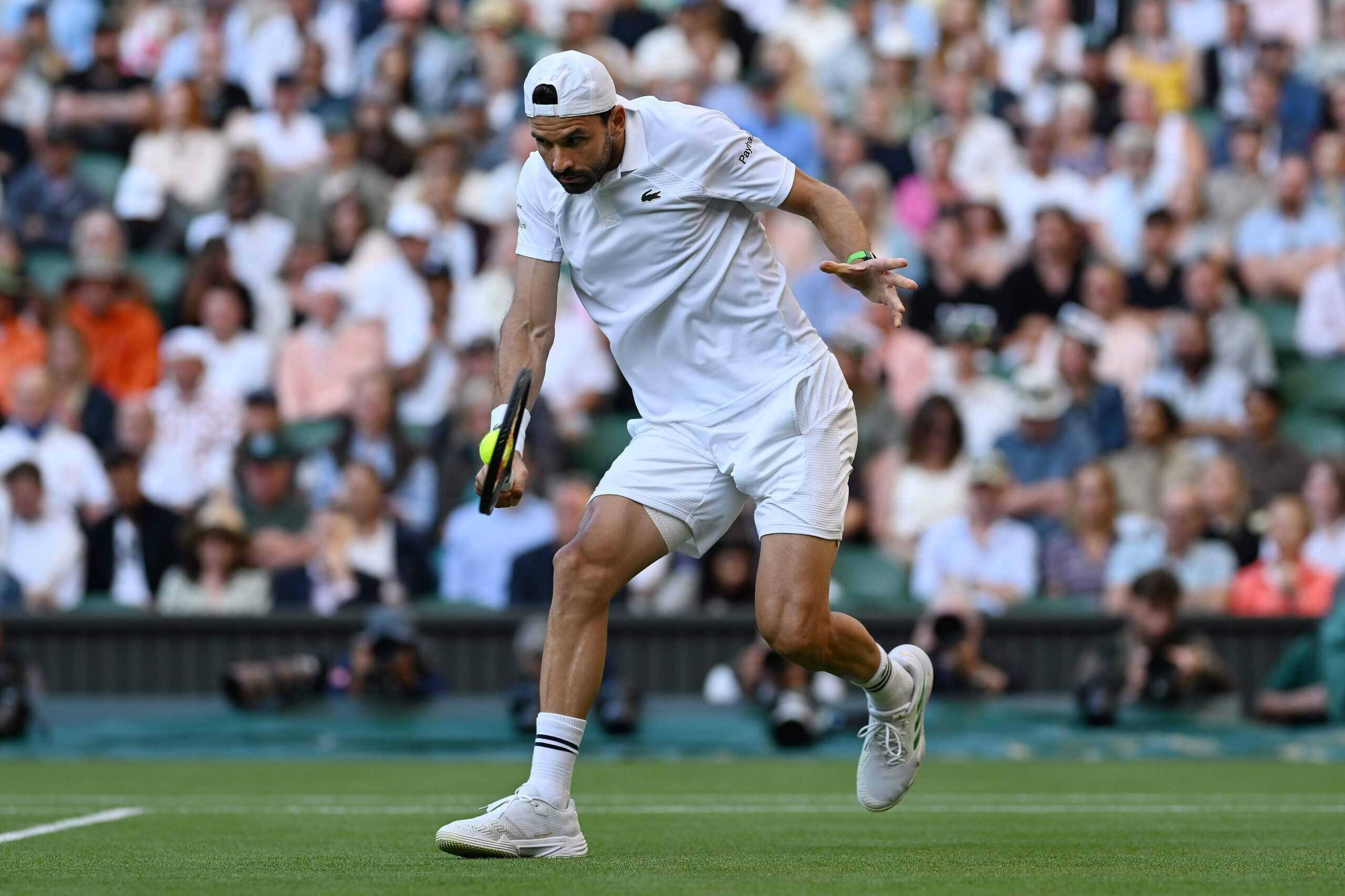 Grigor Dimitrov hits a backhand slice on a grass tennis court.