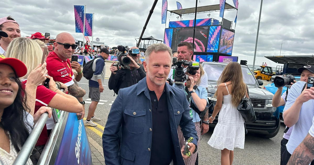 FIA president backs Christian Horner for F1 return