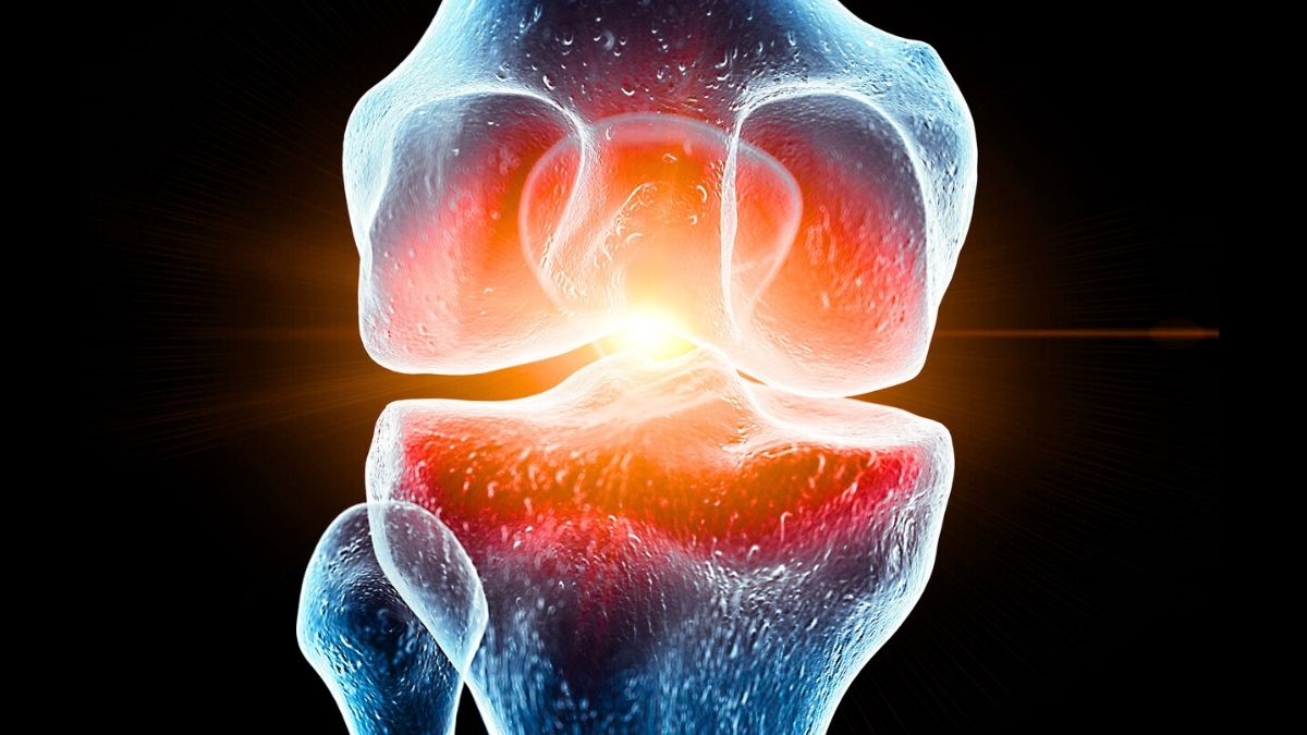 Spaceflight Seems to Damage Knee Cartilage, And Scientists May Have Found a Way to Protect It : ScienceAlert