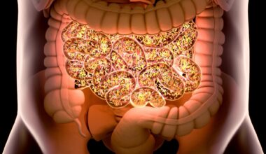 Bacteria inside the small intestine, concept, representation. 3D illustration.