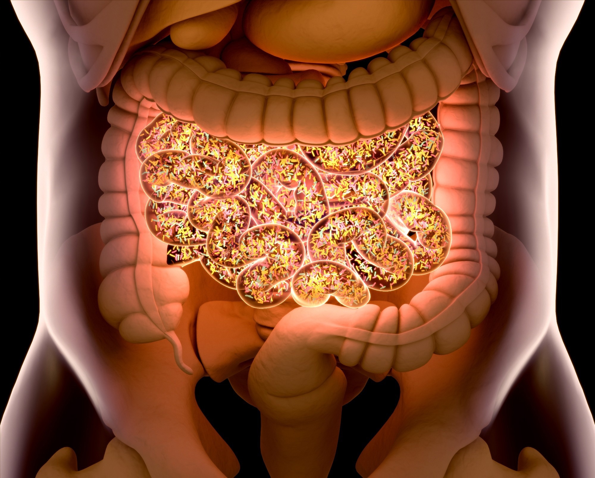 Bacteria inside the small intestine, concept, representation. 3D illustration.