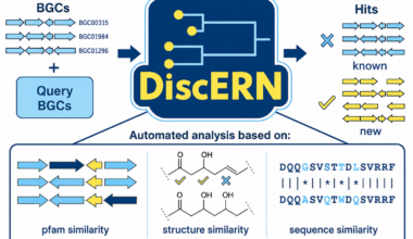 Schematic overview of DiscERN workflow: A user-defined family of BGCs specified using MIBiG numbers and a directory containing antiSMASH outputs for genomes to be analyzed is provided as input. DiscERN then applies and integrates an ensemble of algorithmic approaches to identify new family members and provides Intuitive outputs to facilitate prioritization for downstream functional analysis.