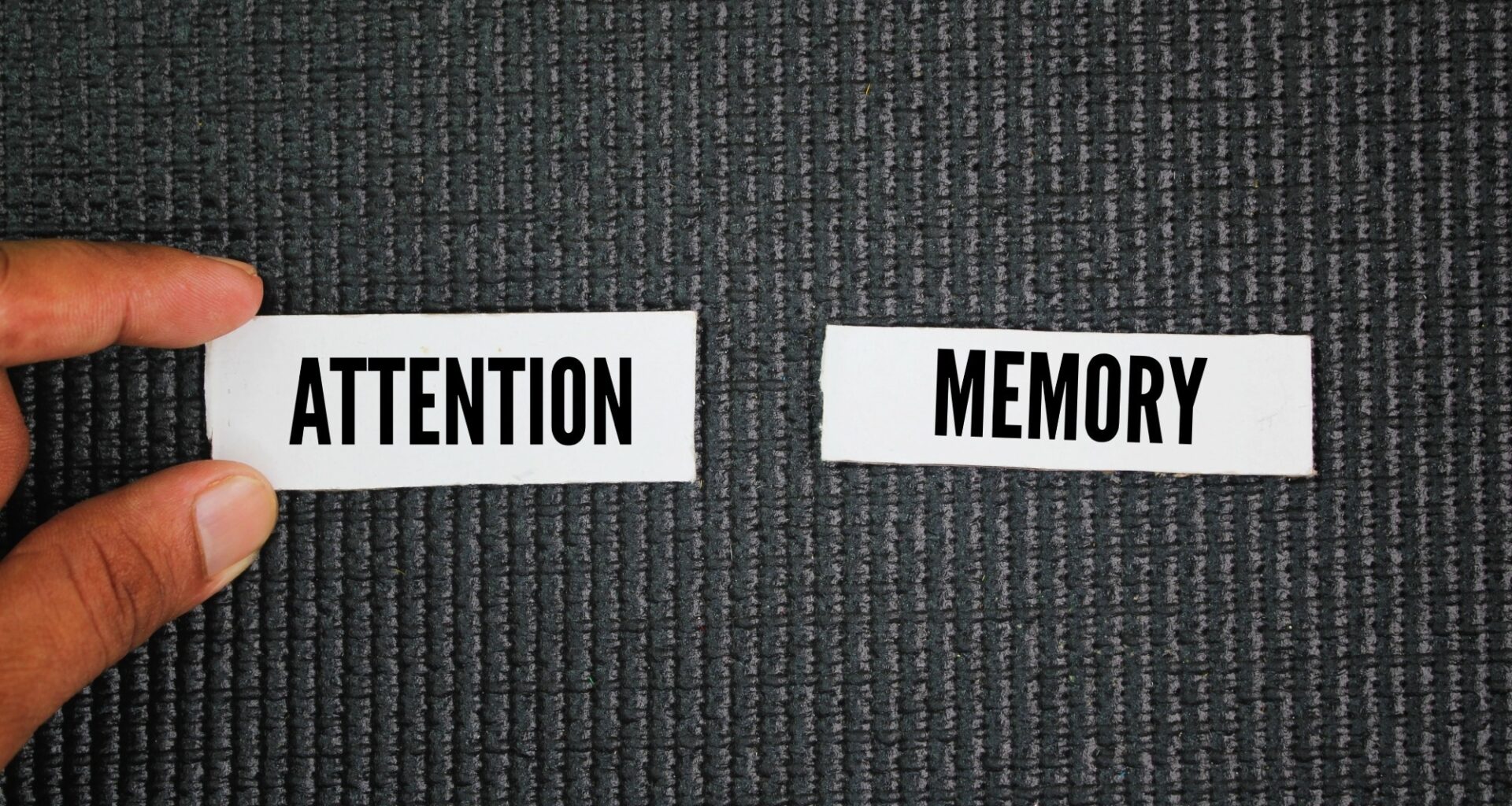Study: Limited Attention and Dynamically Distorted Beliefs. Image Credit: MAFPHOTOART8 / Shutterstock