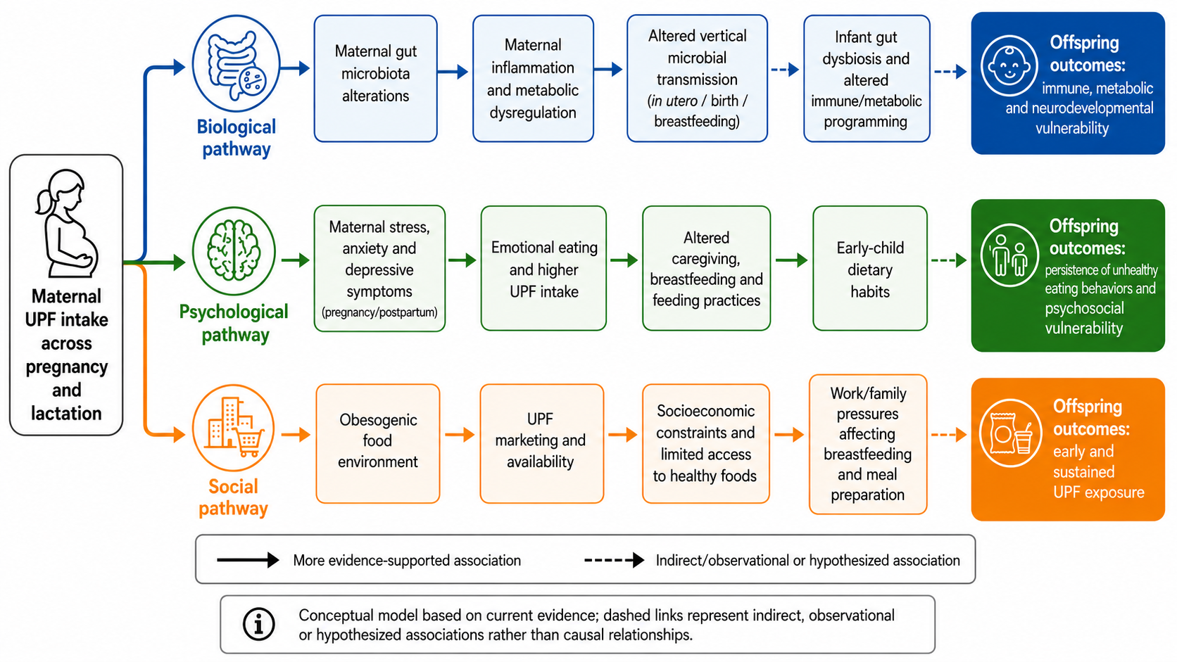 Biopsychosocial pathway model illustrating the impact of UPFs on maternal and infant health.