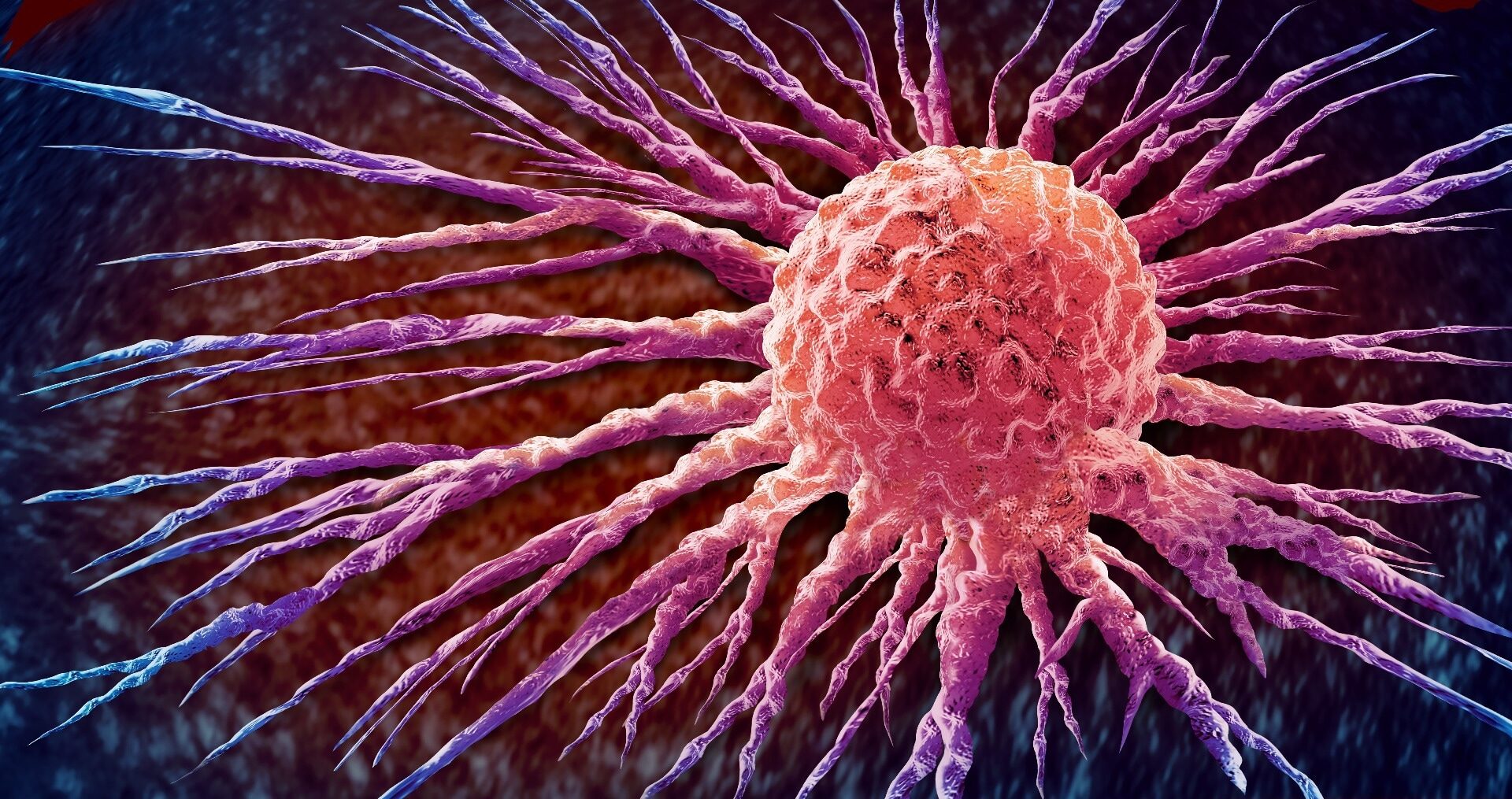 Study: Thymulin restrains age-associated myeloid inflammation and enhances cancer immunotherapy. Image Credit: Lightspring