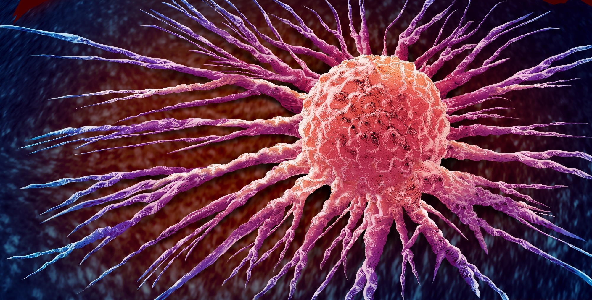 Study: Thymulin restrains age-associated myeloid inflammation and enhances cancer immunotherapy. Image Credit: Lightspring