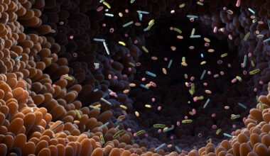 Intestinal Bacteria Gut Microbiome