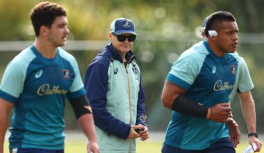 Report: Joe Schmidt set for temporary return to Irish rugby