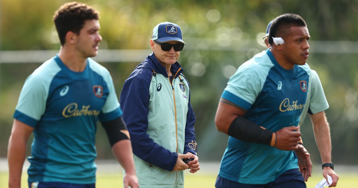 Report: Joe Schmidt set for temporary return to Irish rugby