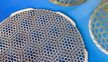 Kagome Lattice Superconductivity