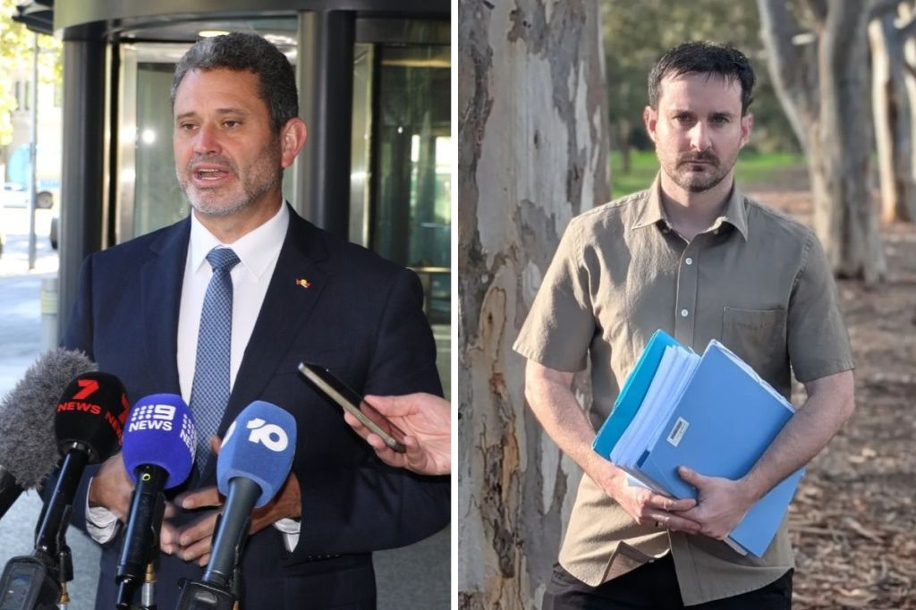 Four golf course trees have come down, court hears - News