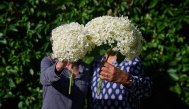How should Faye, 68, and Ava, 60, draw down their RRSPs given their $108,000 spending target?