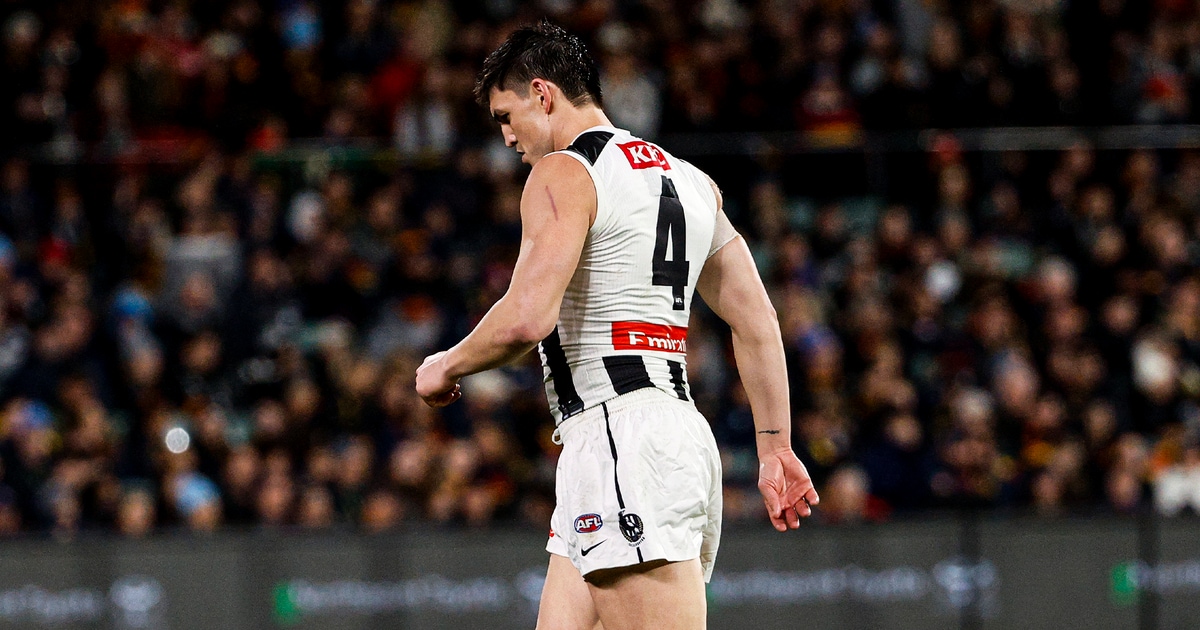 Injury news: Brayden Maynard's knee