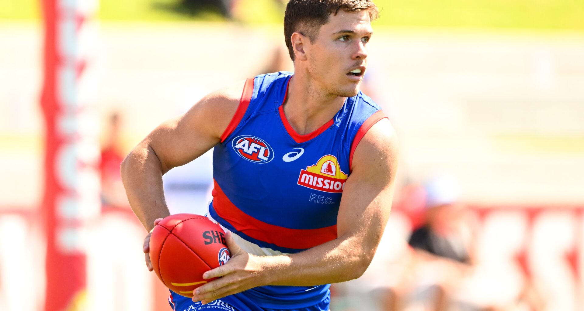 Surgery puts impressive new Dog's season in doubt