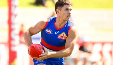 Surgery puts impressive new Dog's season in doubt