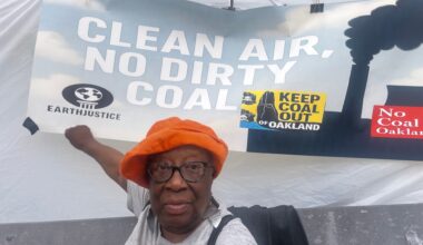An embattled coal terminal could be a lifeline for US coal | Energy