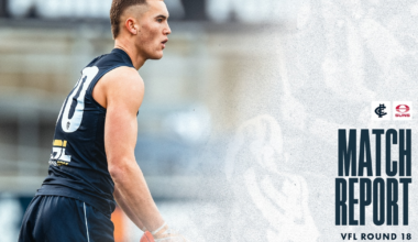 VFL match report: Blues storm home to defeat Suns