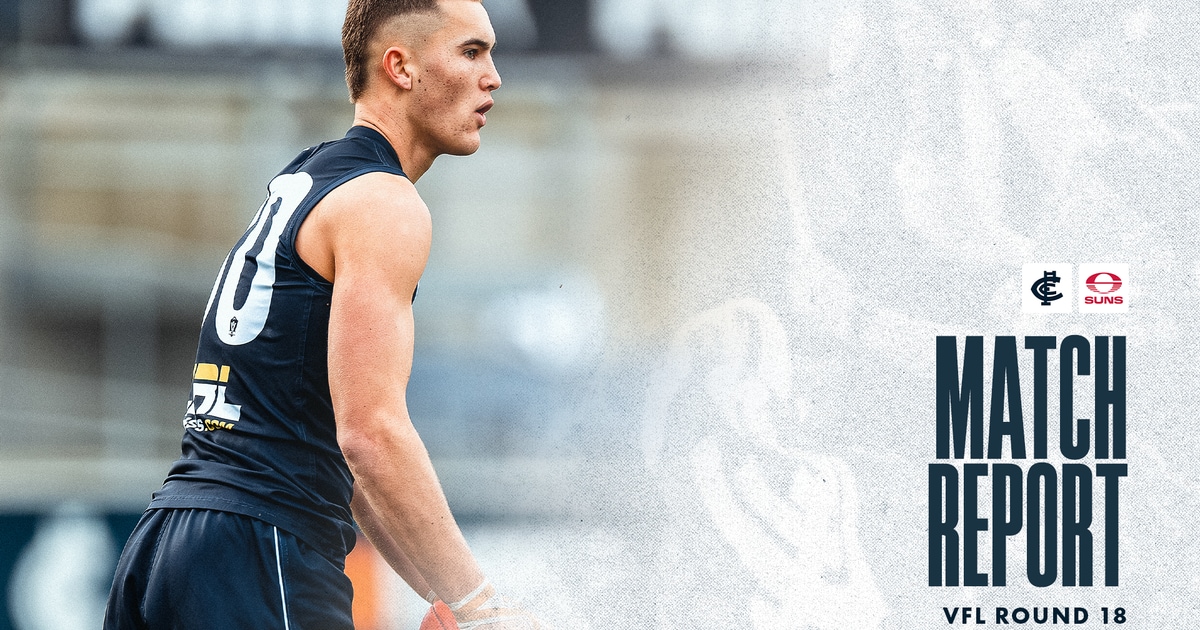 VFL match report: Blues storm home to defeat Suns
