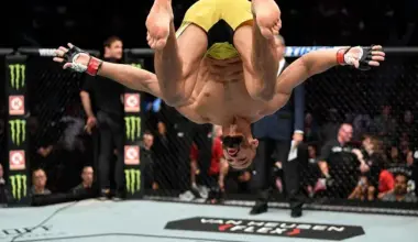 Fabricio Werdum