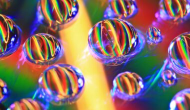 "I cannot replicate this one. Ever" – This macro photo was shot with a DSLR from 2009