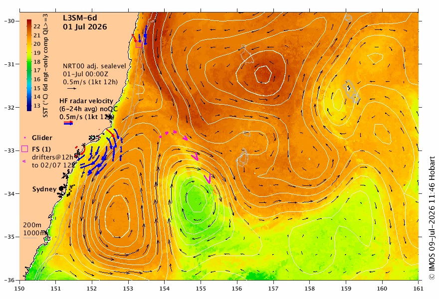 A warm core ocean eddy sitting off the Sydney coast during much of June and July 2026 has likely meant whales have tracked north further offshore. Source: OceanCurrent/IMOS