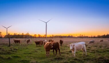 New England REZ and Winterbourne wind project. Image: Winterbourne wind project