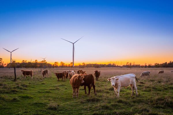 New England REZ and Winterbourne wind project. Image: Winterbourne wind project