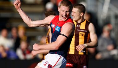 Dees torch Hawks early to set up critical win in Tassie