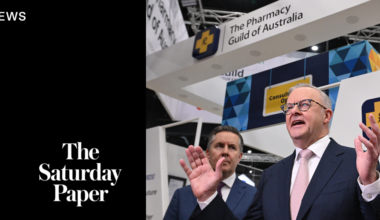 How the Pharmacy Guild got so powerful