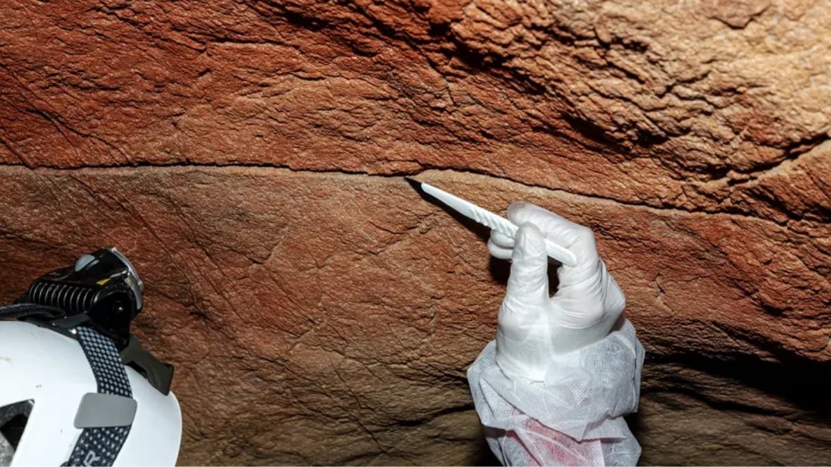 For The First Time, Ancient Human DNA Has Been Found Preserved on Cave Walls : ScienceAlert