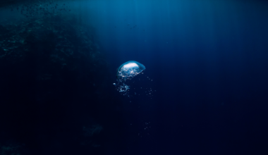 We have more accurate maps of the surface of Mars and the Moon than of the floor of our own ocean — less than a third of the seabed has been measured in real detail, meaning most of the largest landscape on the planet has never been surveyed up close by a ship