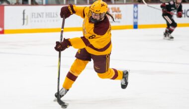 Three Minnesota women’s hockey players participate in NHL development camp