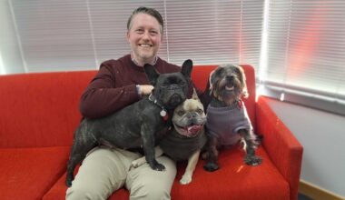 Planning your will: How to make sure your pets are cared for after you die