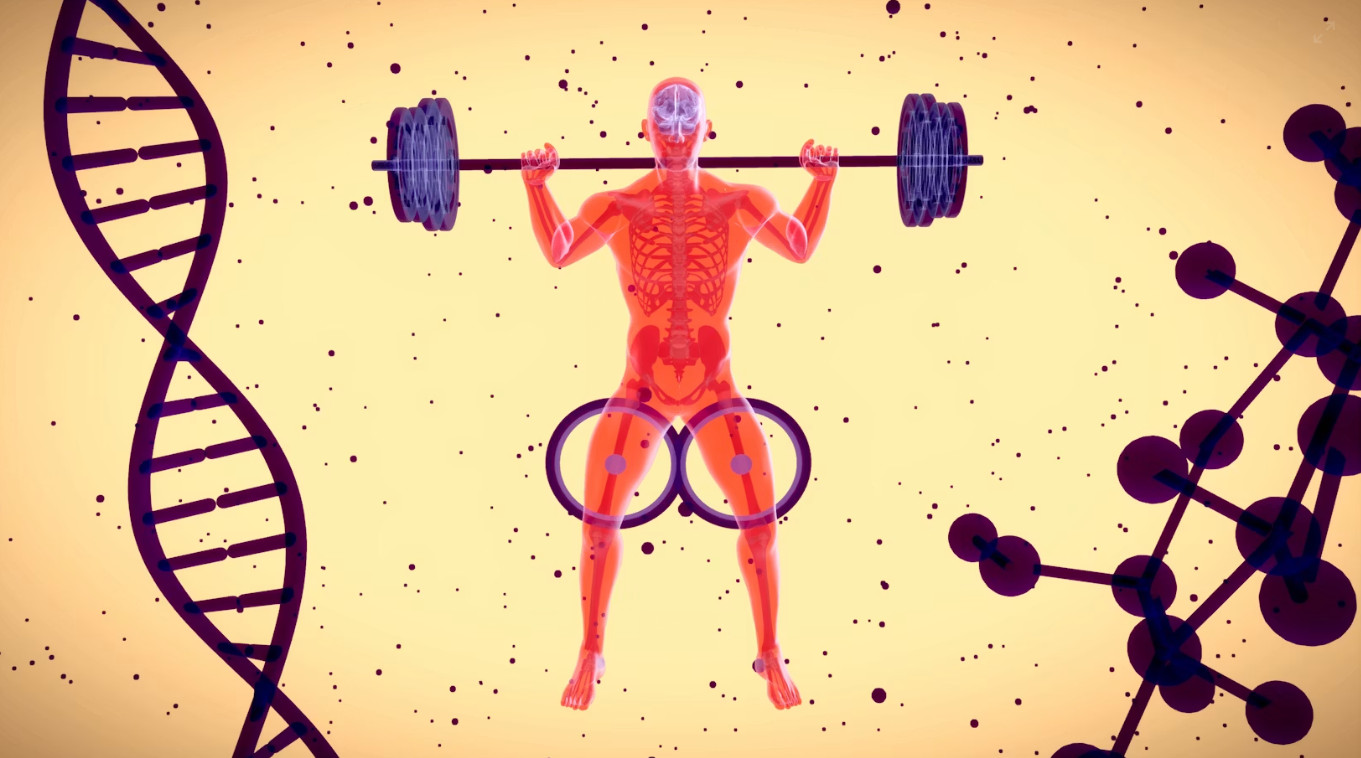 Men’s Testosterone Levels Have Fallen by Half in 50 Years and Scientists Are Worried