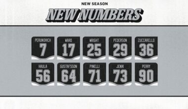 Some New Numbers For The LA Kings!