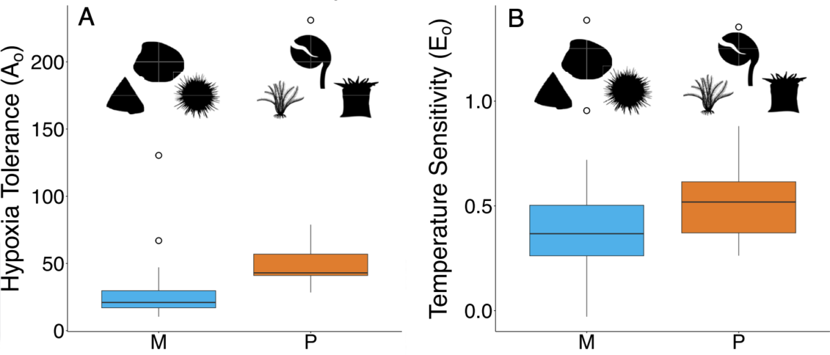 Earth's Biggest Mass Extinction Has Been Directly Linked to Intolerable Heat And Diminished Oxygen in Ancient Oceans