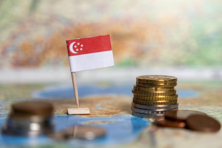 Singapore Flag Map Money Economy