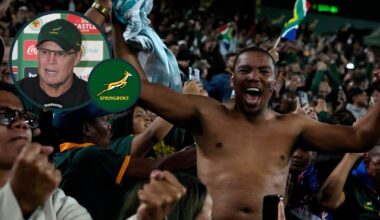 Springboks v England: SA Rugby hit back at misinformed' ticket sales reports